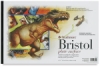 500 Series Bristol, Pad