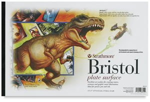 500 Series Bristol, Pad