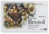 500 Series Bristol, Pack