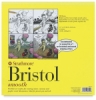 300 Series Bristol, Pad