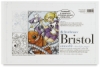 200 Series Bristol, Pad