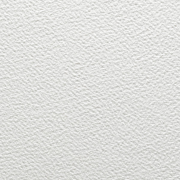 Arches Art Board, Rough