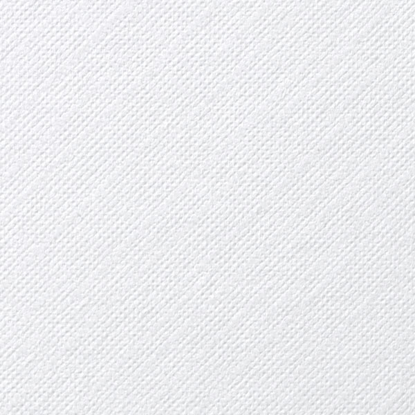 Medium Weight Canvas Board, White