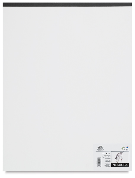 Nekoosa Bond Paper, 100 Sheets