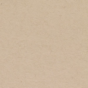 Toned Sketch Wirebound Journal, Warm Tan