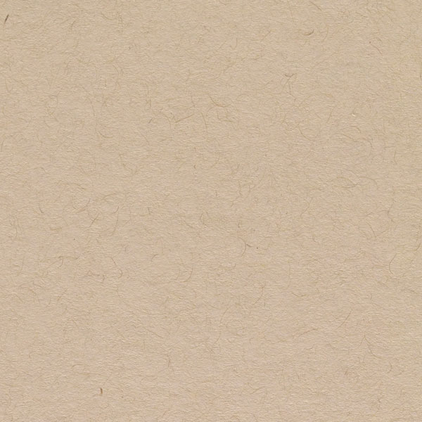 Toned Sketch Wirebound Journal, Warm Tan