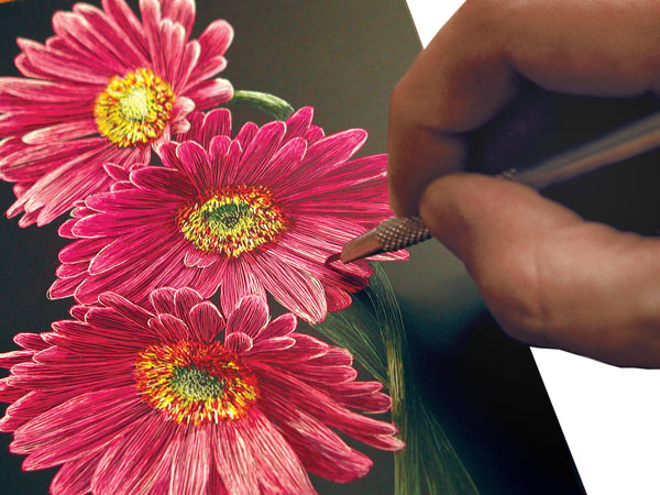 Sample Artwork