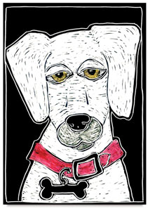 Zoey Dog, Step-by-Step Project Kit