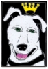 Bertie Dog, Step-by-Step Project Kit