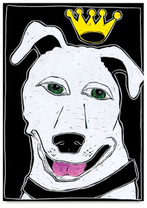 Bertie Dog, Step-by-Step Project Kit