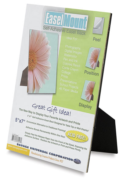 Easel Mount