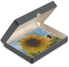 Archival Storage Box, Gray