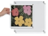 Changeable Display Frames, 14" x 14"