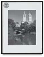 Nielsen Bainbridge Studio Metal Frames