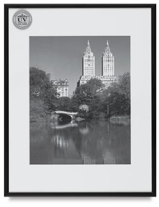 Studio Metal Frame