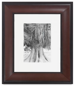 Providence Frame