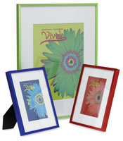 Nielsen Bainbridge Vivids Frames