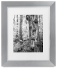 Frame with Sample Artwork