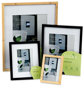 EcoCare Frames