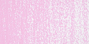 Rose Pink 5