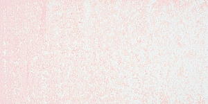 Scarlet 5