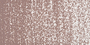 Vandyke Brown 3