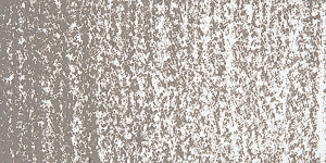 Warm Gray 1
