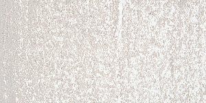 Warm Gray 4