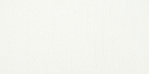 Lemon Yellow205.12