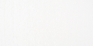 White100.5