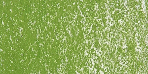 Leaf Green202