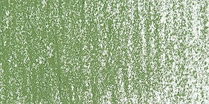 Moss Gray Green171