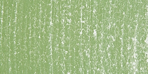 Moss Gray Green173
