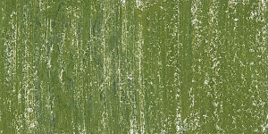 Olive Green237