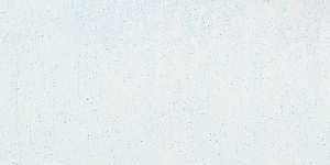 Prussian Blue296