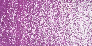 Violet Alizarin Lake