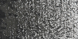 Ivory Black