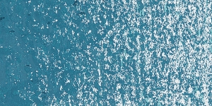Malachite Green