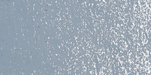 Mouse Gray