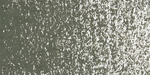 Olive Black