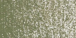 Olive Gray