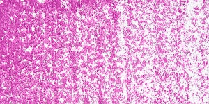 Magenta Pink