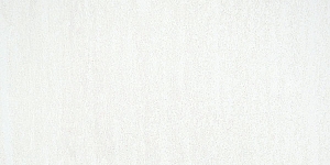 Pearlescent White 830.5