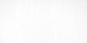 White 100.5