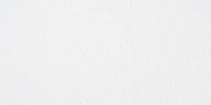 Blue Gray072 L