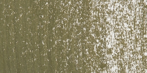 Dark Mustard060