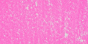 Fluorescent Pink 803