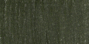 Metallic Black Gold 616