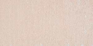 Pale Burnt Sienna 115L