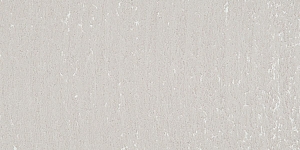 Pale Raw Umber 111